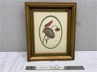 Ray Harvey Cardinal Framed Print