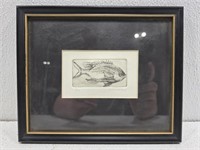 Signed 5/30 fish drawing