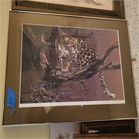 B416 Numbered Print "serengeti Evening"  Wild cat