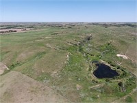 Ellis County Land Auction