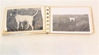 30 Vintage Photos of Pointer bird dogs 1959, '60