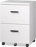 Devaise 2 Drawer Wood File Cabinet, Mobile Lateral