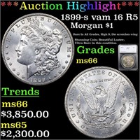 *Highlight* 1899-s vam 16 R5 Morgan $1 Graded ms66