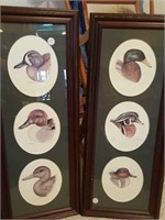 Two framed duck prints by E Culbertson