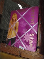 Hannah Montana Padded Wall Art