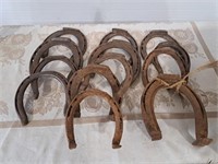 14 horse shoes