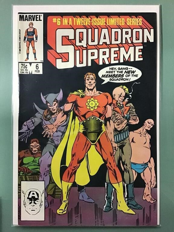 Squadron Supreme #6