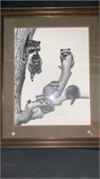 Framed Raccoon wall art, Approximately 27x32