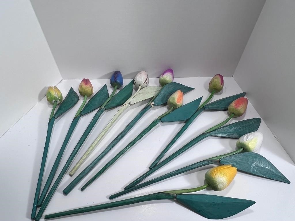 Set Tulip Flowers