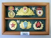 USSR panel military badges