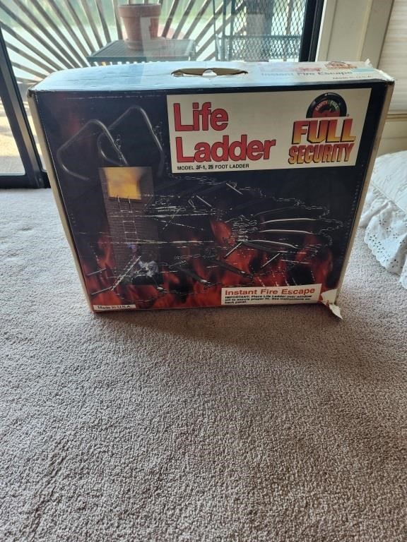 Full Security Life Ladder