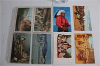 8- Native American Postcards Group C