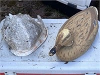 Conk Shell And Duck Decoy