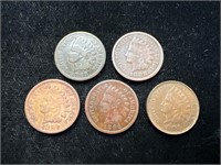 Lot of 5 Indian Head Pennies