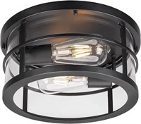 Ceiling Flush Mount Light Fixture