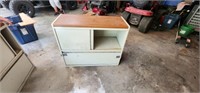 FILE CABINET/STORAGE CABINET