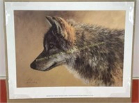 Morten Solberg print Timber wolf study 13x16