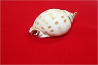 Gold Gilted Conch Shell Ornament