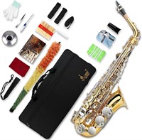 $260  SLADE Eb Alto Saxophone, Gold & Silver