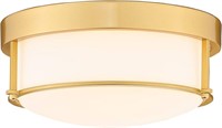 FEMILA 12 Inch Ceiling Light Fixture, 2-Light