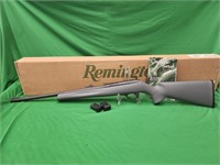 Remington Model 597 22 CAL with 2 magazines.