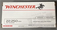 40 rnds Winchester .22-250 Ammo