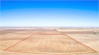 Tract 2-80.11 Acres in O'Brien County, IA