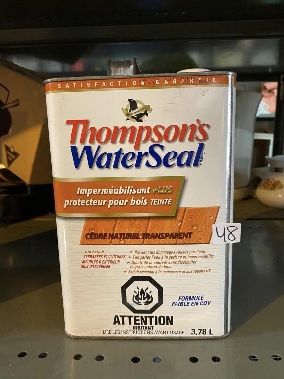 THOMPSONS WATER SEAL