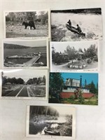Lot of seven Algonquin Park postcards.