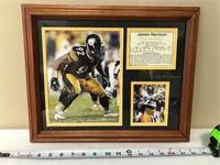 Pittsburgh Steelers James Harrison Framed Picture