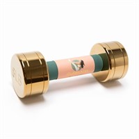 Blogilates Dumbbell - Gold 8lbs $30