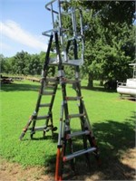 Cage ratchet leveler ladder