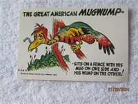 Postcard 1956 Arizona American Mugwump