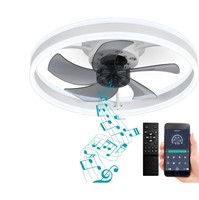 DewShrimp Flush Mount Ceiling Fan with Lights