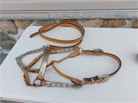 Western Show Halter with Lead