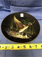 Collector Duck Plate - Winged Splendor by Tommy Hu