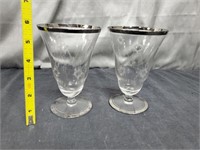 2 Piece Decorative Glasses