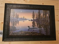 Loon pic 17" x 25"