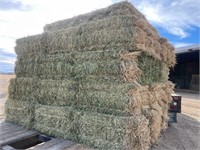 (3-Ton) 2nd Cutting Timothy/Ryegrass Hay