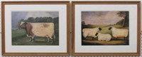 Sheep/Cow by Nancy Schneeman