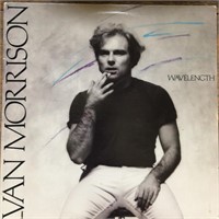 Van Morrison "Wavelength"