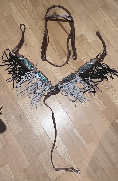 Beautiful matching headstall and breast collar.