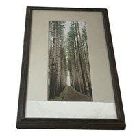 Custom Framed Forest Path Print