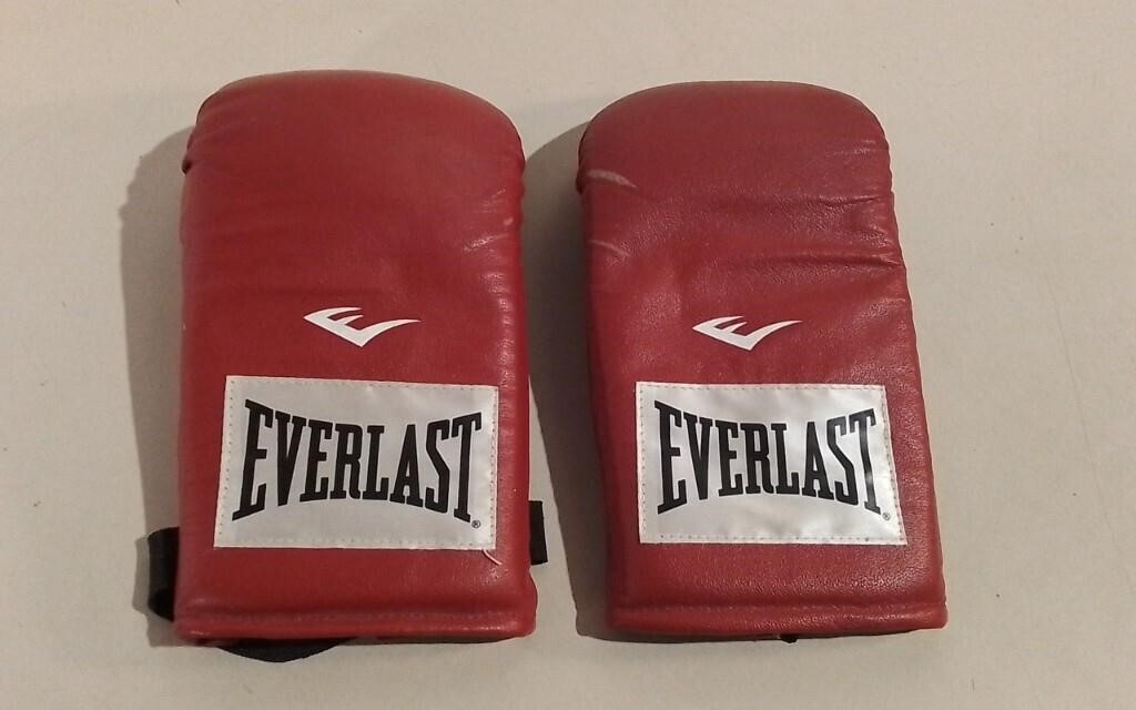 Vintage Everlast Boxing Gloves