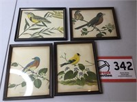 Bird Print Pictures (4)