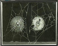 SPIDER WEB ON GLASS