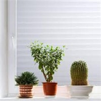 10 Rolls of Blinds Pattern White Privacy Window