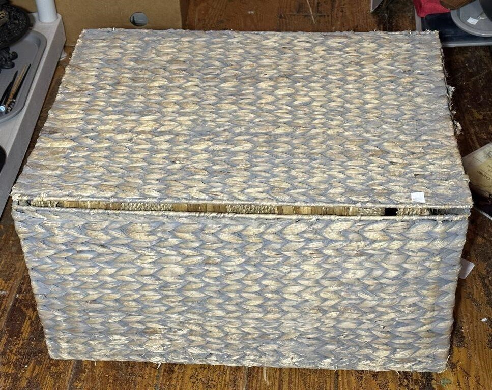 Modern Rattan Trunk by General Supply Co.