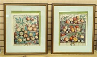 Pair of Fruit Prints