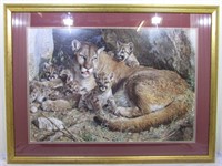Framed limited edition print of the Mountain Lion